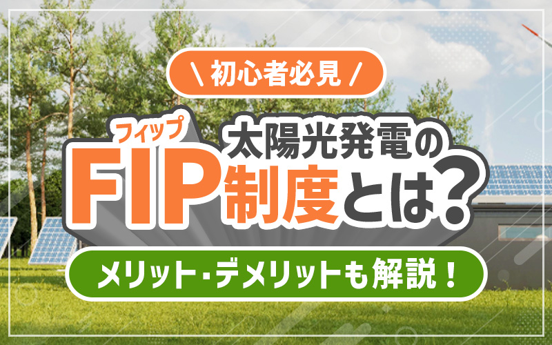 FIP制度