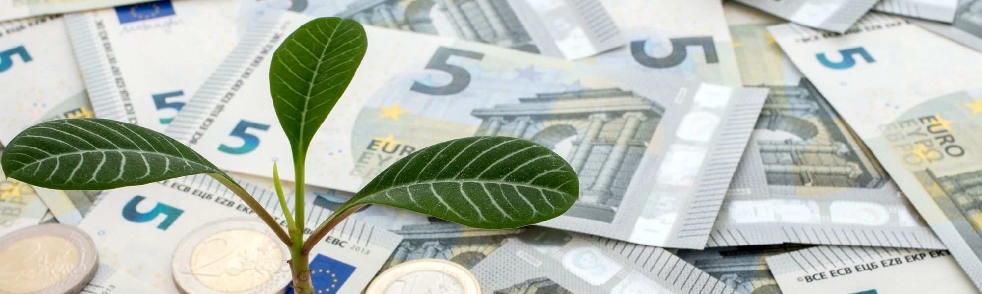 補助金を活用して賢く導入